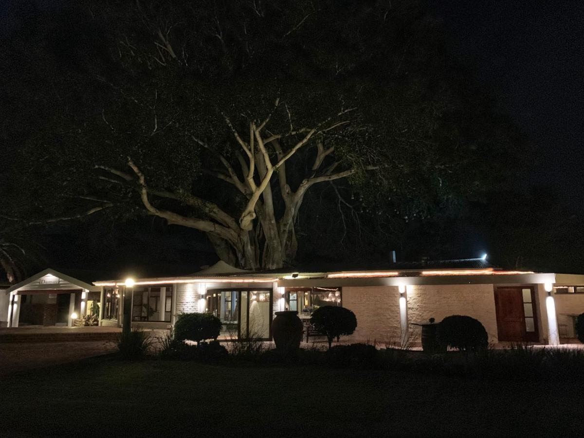 Hotel Damas Guest Farm à Worcester Extérieur photo